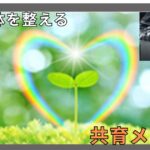 「運動だけじゃ足りない」って知ってた?ENISHIが届ける“心と身体”を整える共育メソッドとは 15